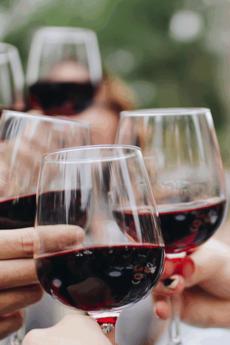 Ribera del Duero prosiguió su compromiso con el Proyecto Pintia Vaccea: 8 años de alianza en favor del patrimonio