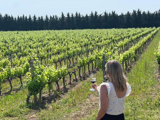 Verano entre viñas: Marco Real se consolida como destino enoturístico en Olite