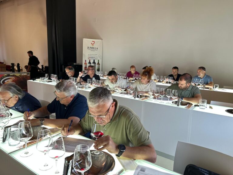 La añada 2024 en la DOP Jumilla es calificada como “Muy Buena” por su frescura, fruta y potencial de guarda