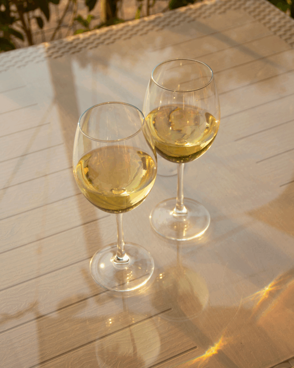Descubren en Navarra una nueva variedad de uva blanca única: la ‘Musa’
