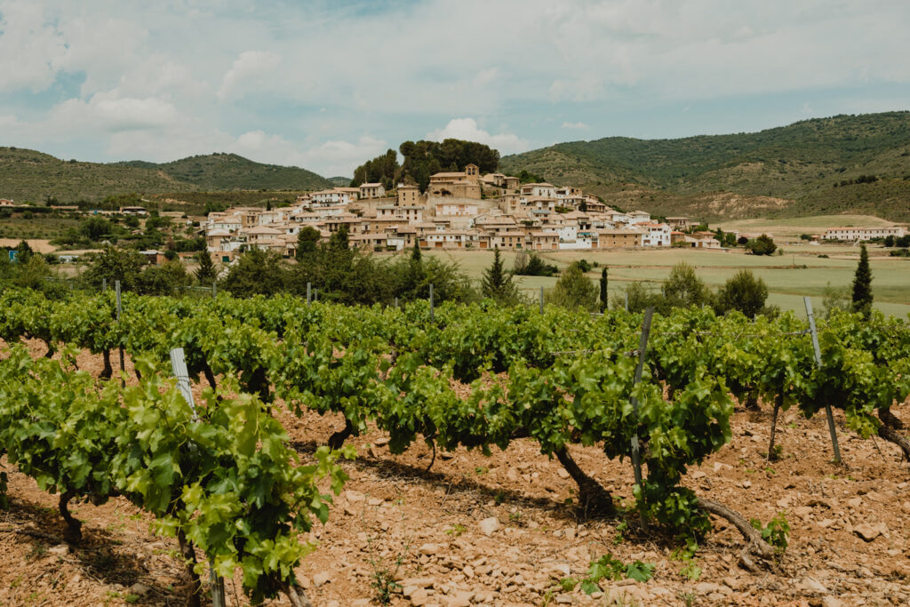 Eslava impulsa el primer modelo de vino regenerativo de Europa desde un pequeño pueblo navarro