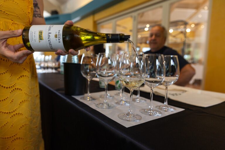 Gotas de Aprendizaje: EDA Drinks & Wine Campus y Familia Torres impulsan la viticultura regenerativa en el Penedès