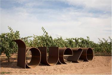 Buezo: Historia, tradición e innovación en el corazón vinícola de Burgos