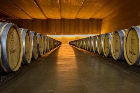 Buezo: Historia, tradición e innovación en el corazón vinícola de Burgos