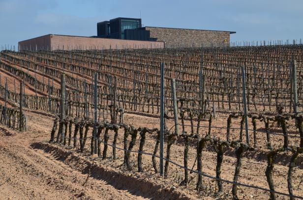 Buezo: Historia, tradición e innovación en el corazón vinícola de Burgos
