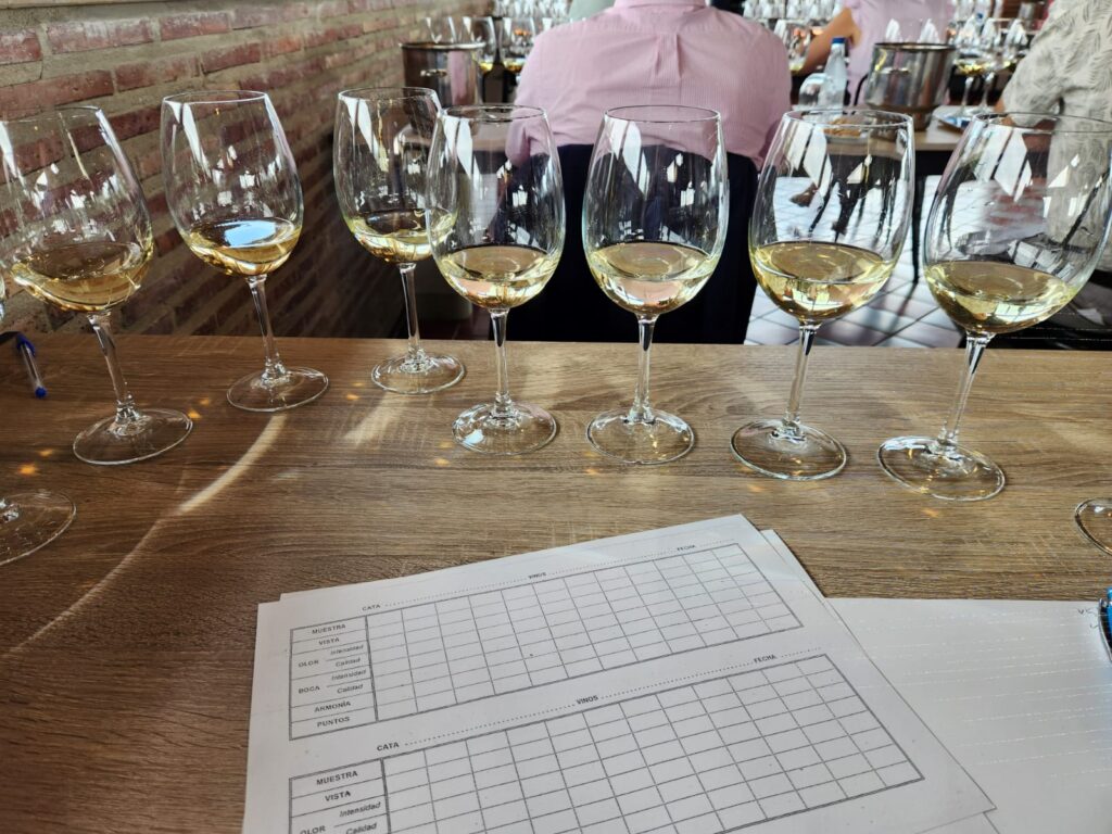 En el corazón del Rioja: jurado en la preselección de los Premios Vendimia 2025