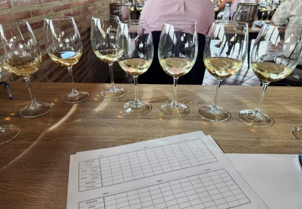En el corazón del Rioja: jurado en la preselección de los Premios Vendimia 2025