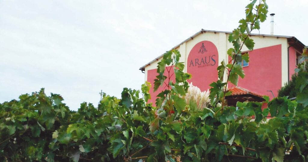 Araus Ballesteros: tradición familiar y vinos con alma en el corazón de Arlanza