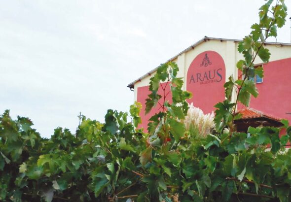 Araus Ballesteros: tradición familiar y vinos con alma en el corazón de Arlanza