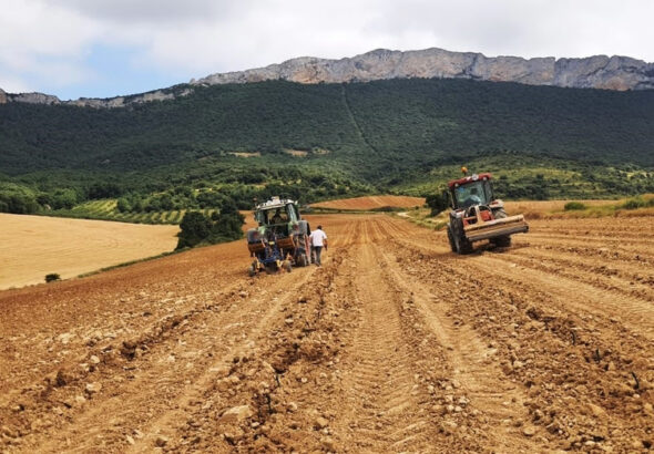La Rioja Alta, S.A. planta futuro en tiempos de incertidumbre: viticultura de precisión frente al cambio climático