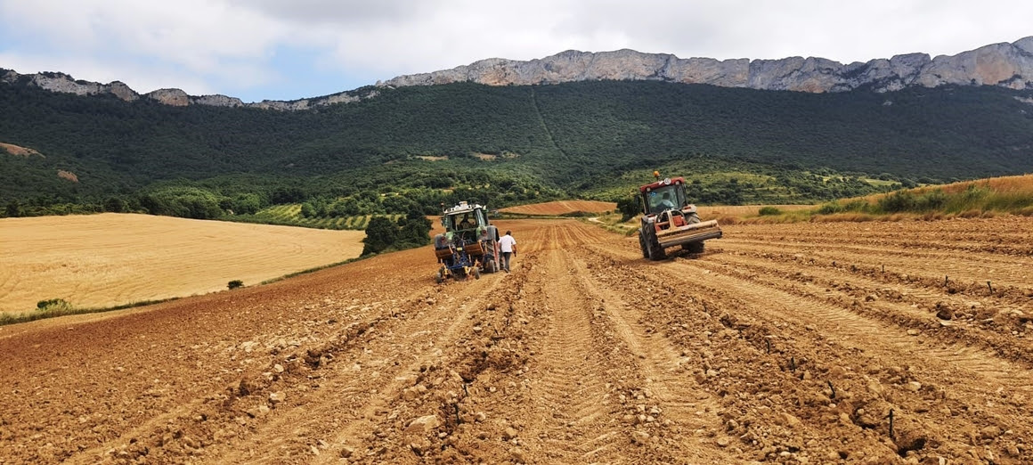 La Rioja Alta, S.A. planta futuro en tiempos de incertidumbre: viticultura de precisión frente al cambio climático