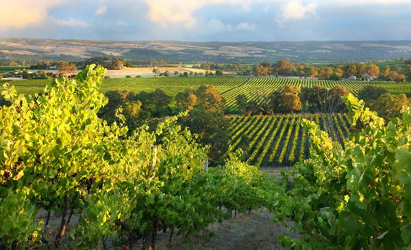 region-south-australia