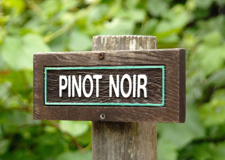 pinot noir cartel