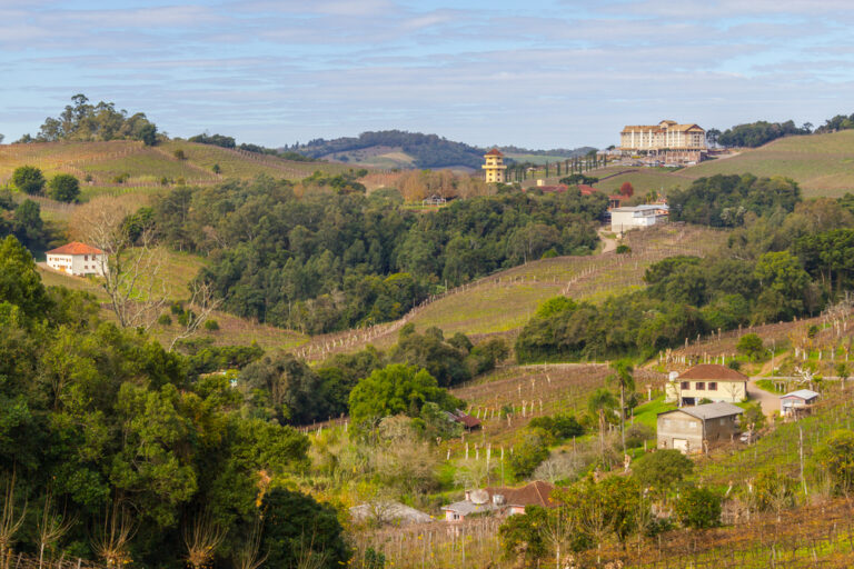 Village and Vineyards in winter, Vale dos Vinhedos valley