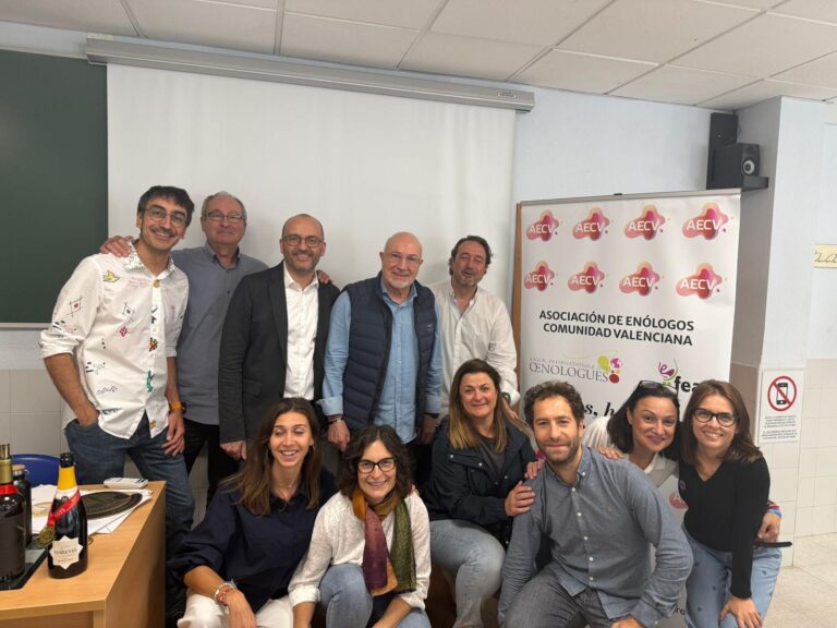 WhatsApp Image 2025-10-31 at 12.26.02