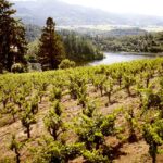 Summer Getaways In Sonoma