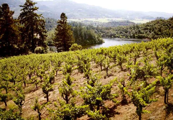 Summer Getaways In Sonoma