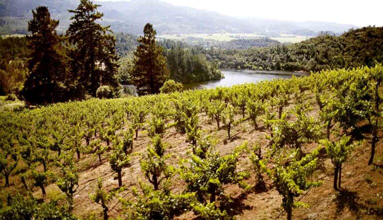 Summer Getaways In Sonoma