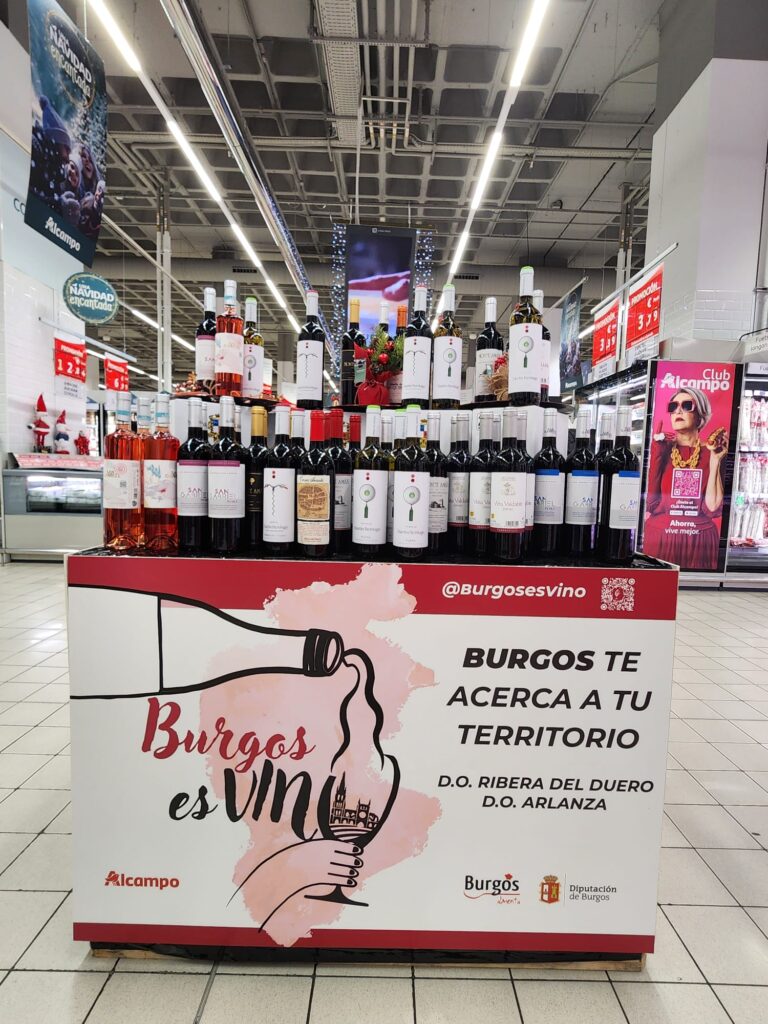 WhatsApp Image 2025-11-18 at 12.41.49