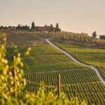vino-de-la-toscana
