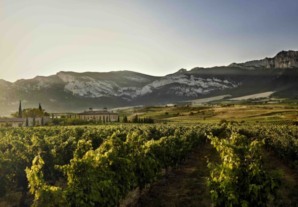 Viñedos Asociacion Bodegas por la Calidad de Rioja -Torre de Oña
