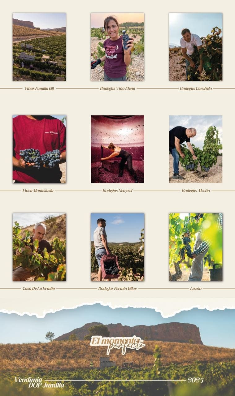 bodegas Jumilla vendimia 25