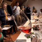 CATA-EN-MICROBOGA-CMB-scaled