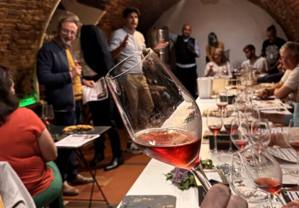 CATA-EN-MICROBOGA-CMB-scaled