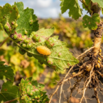 Gemini_Generated_Image_ubp1ecubp1ecubp1