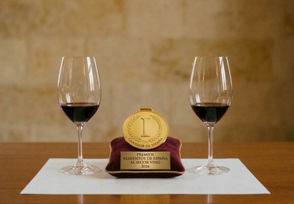 Gemini_Generated_Image_woyptqwoyptqwoyp