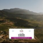 WhatsApp Image 2026-03-03 at 10.02.25