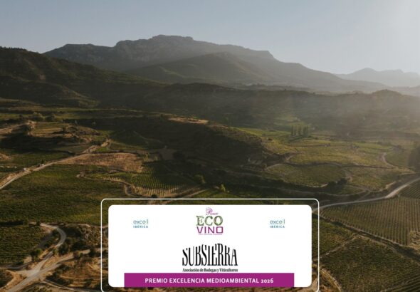 WhatsApp Image 2026-03-03 at 10.02.25