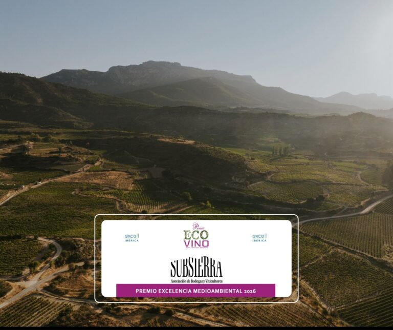 WhatsApp Image 2026-03-03 at 10.02.25