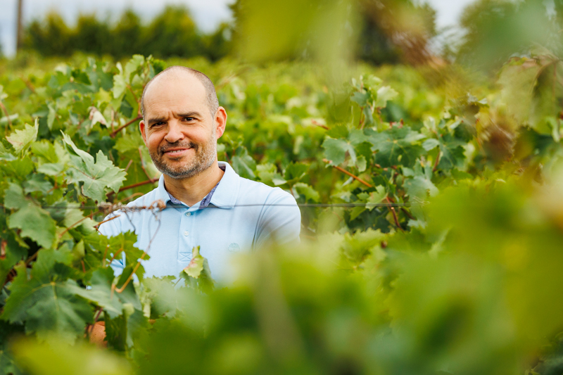 Bodegas Faustino: entre las 50 marcas más admiradas del mundo por noveno año