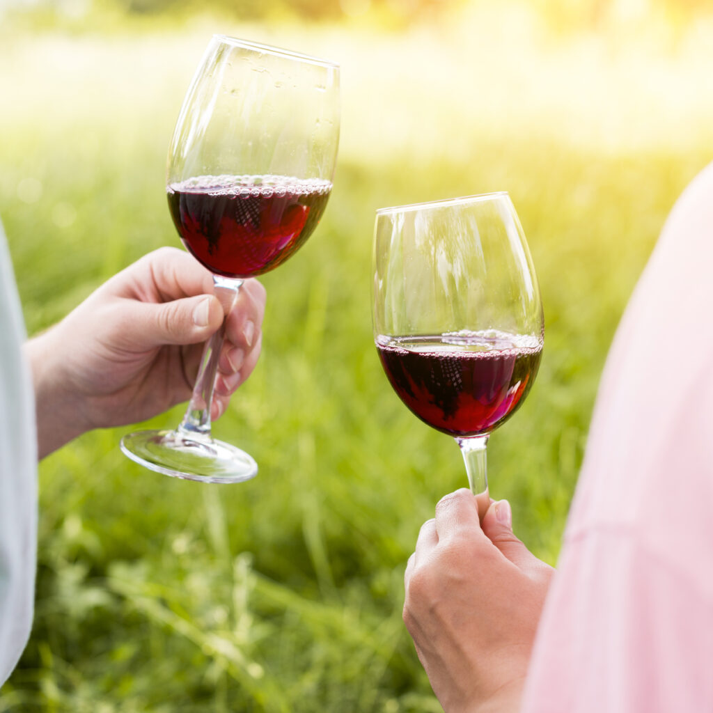 wineglasses-with-red-wine-hands-couple-picnic-1-1024x1024.jpg
