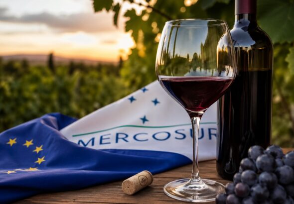 VINO MERCOSUR