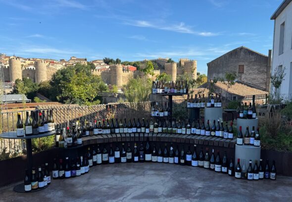 Fiesta vendimia 2025 - recorte