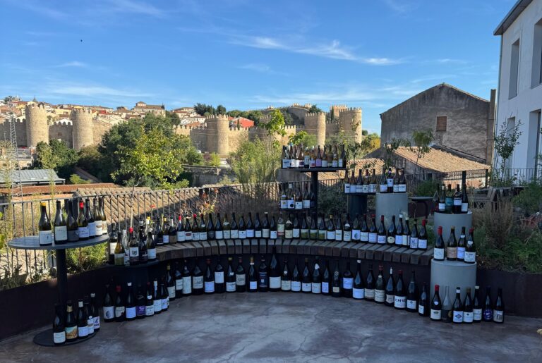 Fiesta vendimia 2025 - recorte