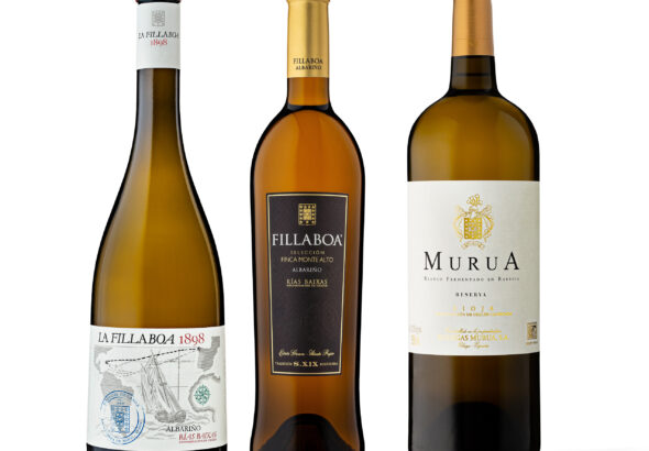 BODEGON VINOS BLANCOS MURUA Y FILLABOA PEÑIN MASAVEU BODEGAS