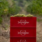 Juvé&Camps_Box