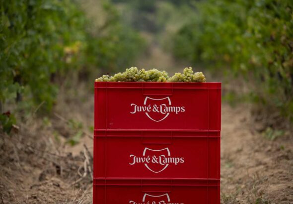 Juvé&Camps_Box