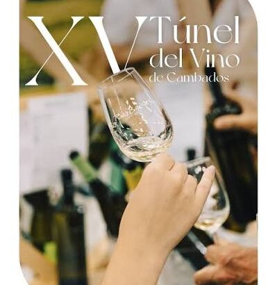 XV CAMBADOS