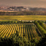 navarra02-1