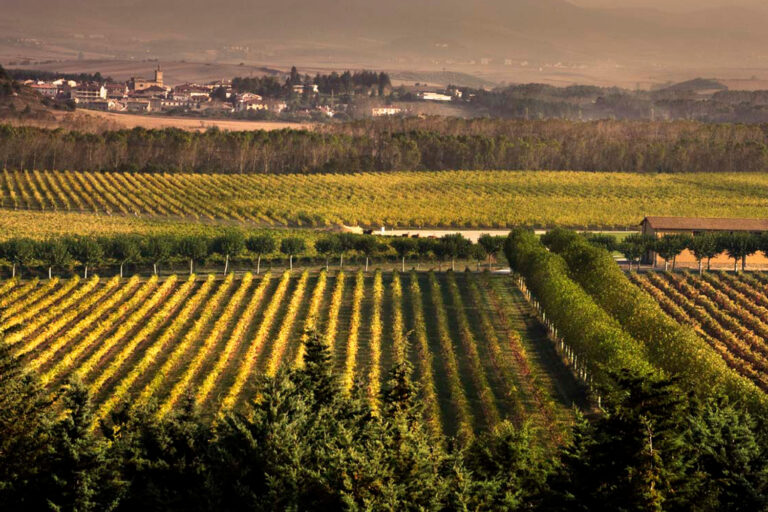 navarra02-1
