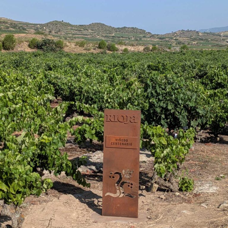 vinedoscentenarios
