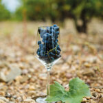 GARNACHA-copa-copia