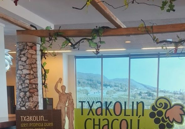 Museo de Txakoli