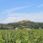 zona-monterrei