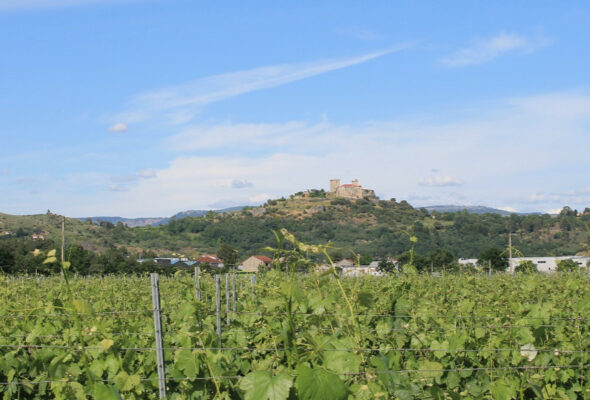 zona-monterrei