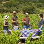 Almuerzo en la viña. Bodegas Guerinda. San Martín de Unx. Navarra